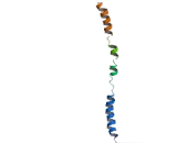 Apolipoprotein A2 (APOA2)