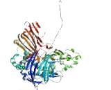 Apolipoprotein B (APOB)