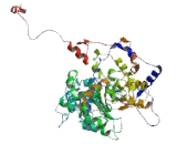 Apolipoprotein B Receptor (APOBR)