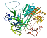 Apoptosis Inducing Factor, Mitochondrion Associated 3 (AIFM3)