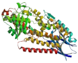 Arachidonate-12-Lipoxygenase (ALOX12)