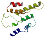 Arginine Vasopressin Receptor 1A (AVPR1A)