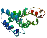 Ataxin 7 Like Protein 3 (ATXN7L3)