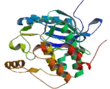 Aurora Kinase B (AURKB)