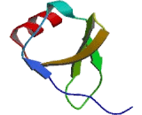 B-Lymphocyte Chemoattractant (BLC)