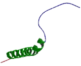 Bcl2/Adenovirus E1B 19kDa Interacting Protein 3 (BNIP3)