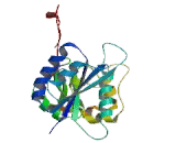 Beta-1,3-Glucuronyltransferase 2 (b3GAT2)