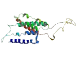 Bombesin Like Receptor 3 (BRS3)