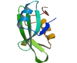 Chemokine (C-X-C Motif) Ligand 14 (CXCL14)