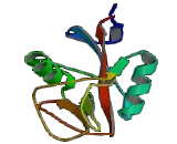 C-Type Lectin Domain Family 2, Member C (CLEC2C)