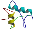 C-Type Lectin Domain Family 5, Member A (CLEC5A)