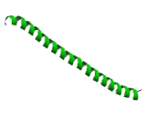 CCAAT/Enhancer Binding Protein Alpha (CEBPa)