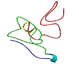 CD27 Binding Protein (CD27BP)