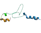 Cadherin, Retinal (RCAD)