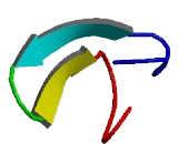 Cadherin EGF LAG Seven Pass G-Type Receptor 2 (CELSR2)