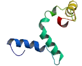 Calcium Channel, Voltage Dependent, L-Type, Alpha 1F Subunit (CACNa1F)
