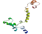 Calcium Channel, Voltage Dependent, L-Type, Alpha 1S Subunit (CACNa1S)