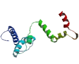Calcium Channel, Voltage Dependent, R-Type, Alpha 1E Subunit (CACNa1E)