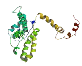Calcium Channel, Voltage Dependent, T-Type, Alpha 1H Subunit (CACNa1H)