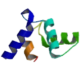 Calmodulin Like Protein 6 (CALML6)