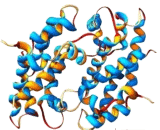 Calprotectin (CALPRO)