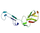 Calsyntenin 1 (CLSTN1)