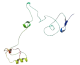 Cannabinoid Receptor Interacting Protein 1 (CNRIP1)