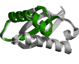 Carbohydrate Antigen 125 (CA125)