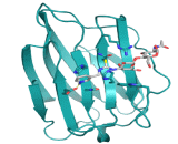 Carbohydrate Antigen 50 (CA50)