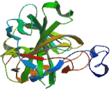 Carbonic Anhydrase II (CA2)