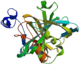 Carbonic Anhydrase XII (CA12)