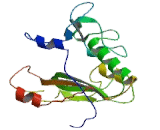 Carboxypeptidase A3 (CPA3)