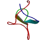 Cartilage Intermediate Layer Protein 2 (CILP2)