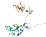 Centromere Protein I (CENPI)