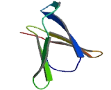 Chemokine C-C-Motif Receptor 5 (CCR5)