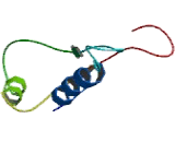 Chemokine C-Motif Receptor 1 (XCR1)