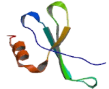 Chemokine C-X-C-Motif Ligand 15 (CXCL15)