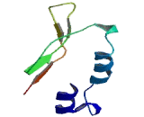 Chemokine C-X-C-Motif Receptor 3 (CXCR3)