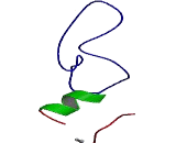 Cholecystokinin A Receptor (CCKAR)