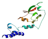 Chromosome 1 Open Reading Frame 194 (C1orf194)