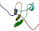 Chromosome 1 Open Reading Frame 195 (C1orf195)