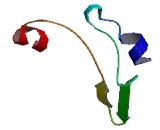 Transmembrane Protein 240 (TME<b>M240</b>)