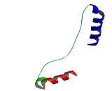 Chromosome 10 Open Reading Frame 111 (C10orf111)