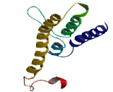 Coiled Coil Domain Containing Protein 186 (CCD<b>C186</b>)