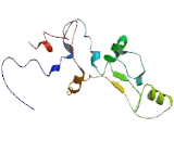 Chromosome 10 Open Reading Frame 126 (C10orf126)