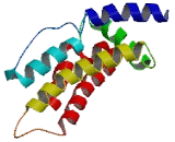 Chromosome 10 Open Reading Frame 53 (C10orf53)