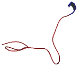 Chromosome 11 Open Reading Frame 42 (C11orf42)