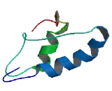 Chromosome 11 Open Reading Frame 45 (C11orf45)