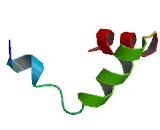 Chromosome 11 Open Reading Frame 96 (C11orf96)