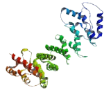 Chromosome 12 Open Reading Frame 56 (C12orf56)